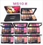 MAC 12 Colors Eyeshadow plus 2 Colors Blush #M510 Palette